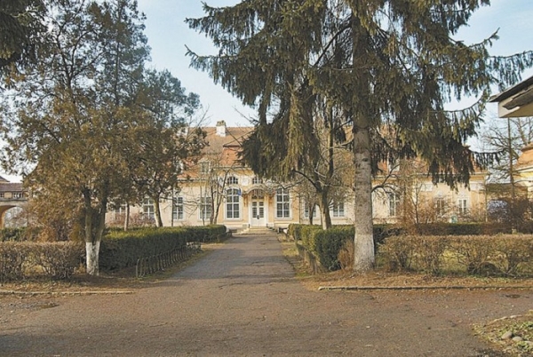 Castelul Teleki Dumbravioara poza