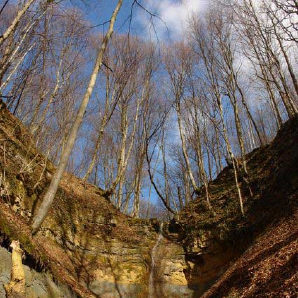 Cascadele De Pe Treznea poza