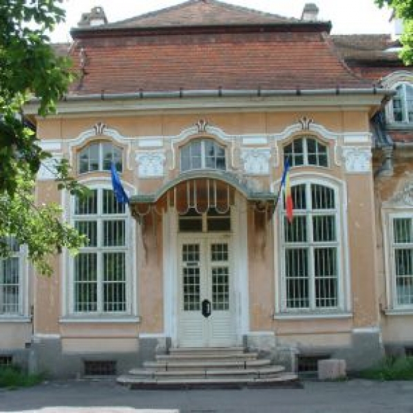 Castelul Teleki Dumbravioara poza