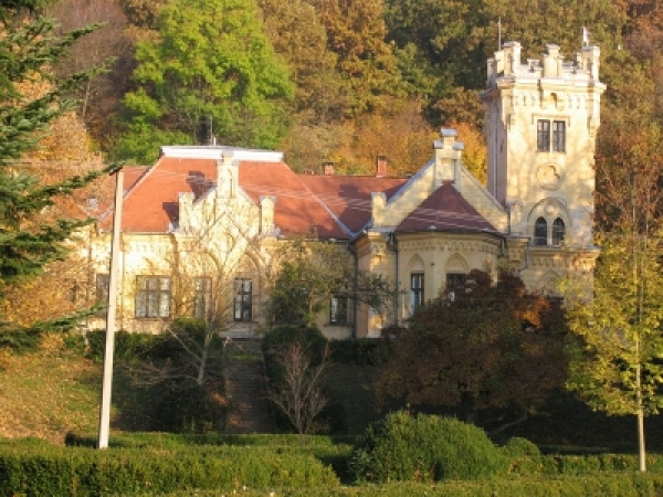Castelul Zichy poza