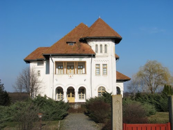 Casa Memoriala Nicolae Titulescu poza