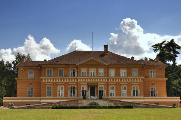 Castelul Regal De La Savarsin poza