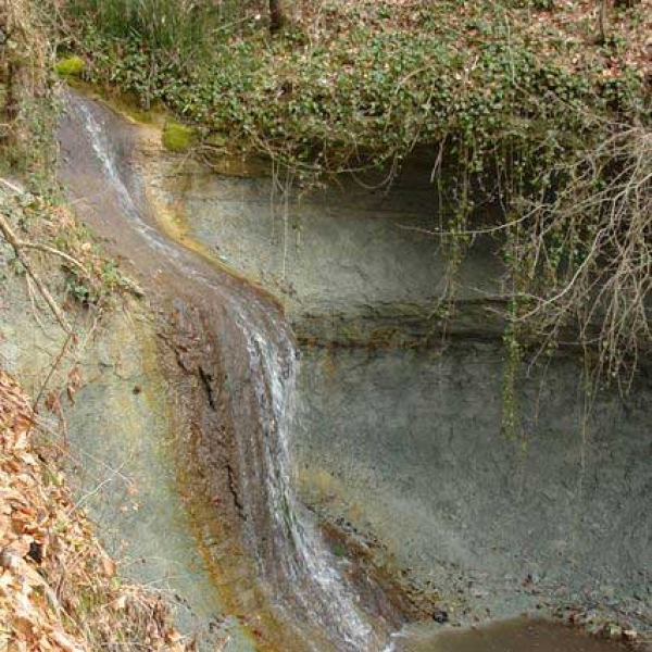 Cascadele De Pe Treznea poza