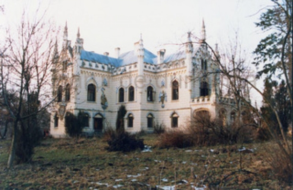 Castelul Sturdza Miclausani poza