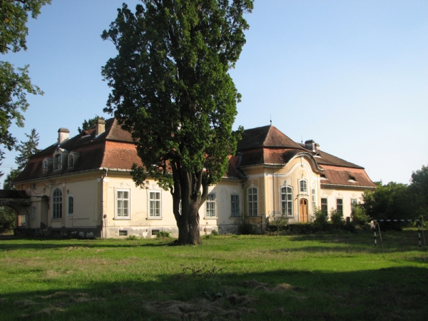Castelul Teleki Dumbravioara poza