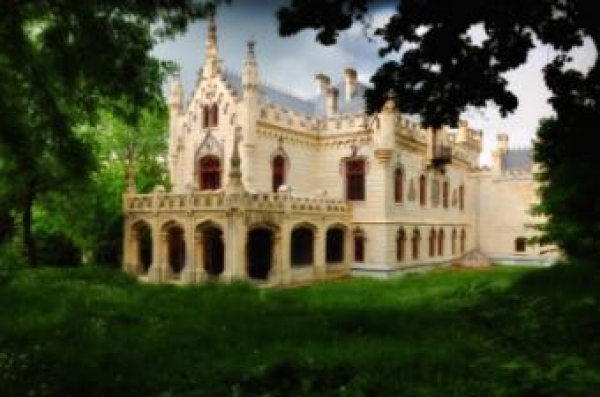 Castelul Sturdza Miclausani poza