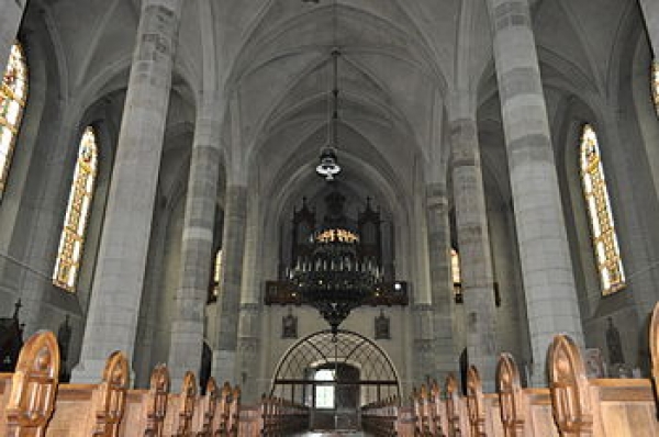 Catedrala Catolica Din Ditrau poza