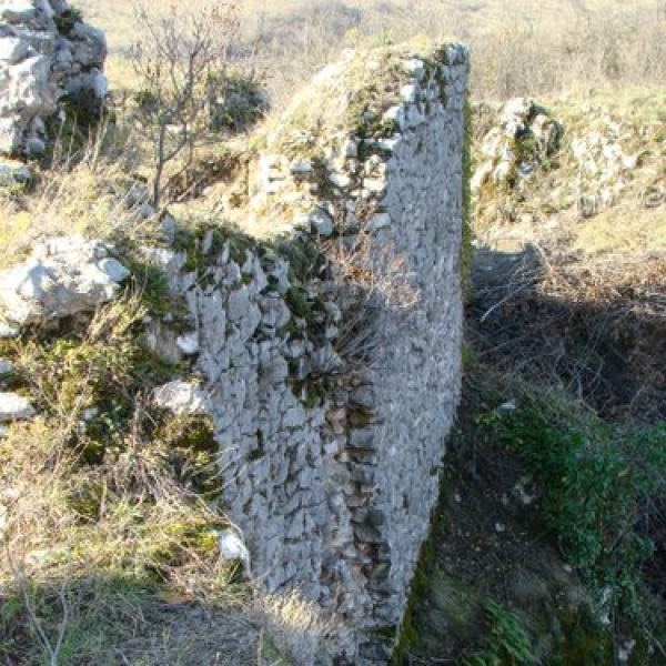 Cetatea Carasova poza