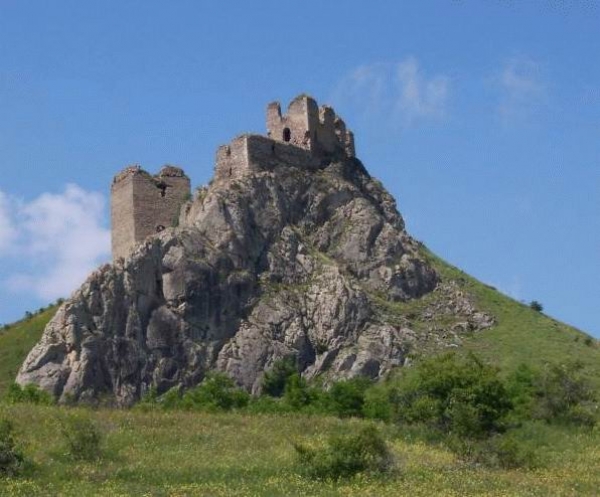 Cetatea Coltesti poza