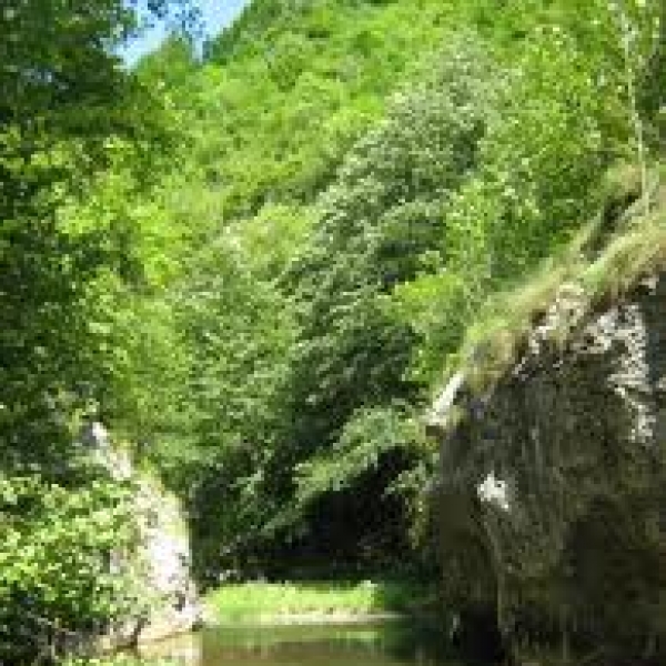 Cheile Madei poza