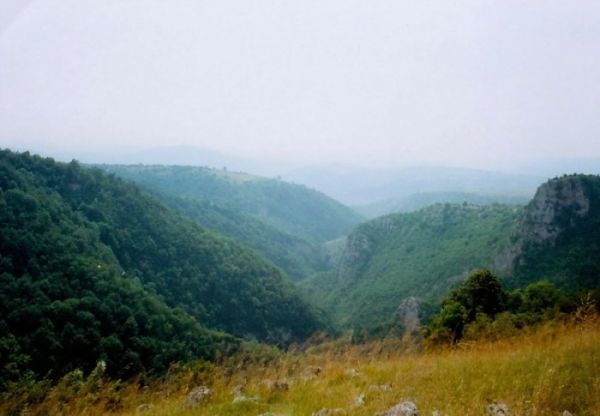 Cetatea Carasova poza