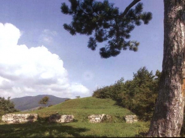 Cetatea Dacica De La Batca Doamnei poza