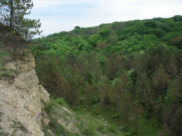 Cheile Baciului poza