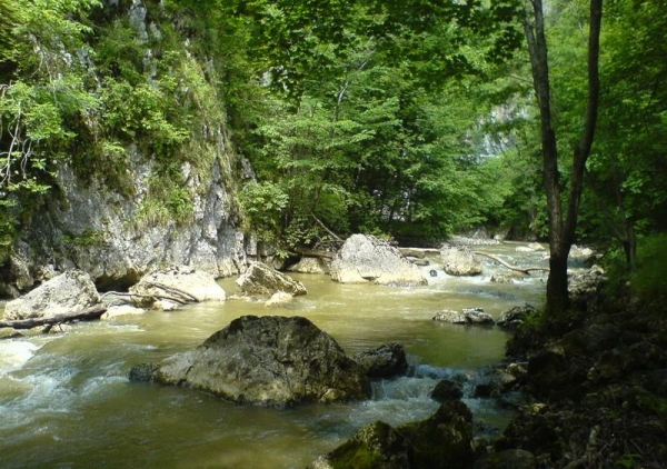 Cheile Varghisului poza