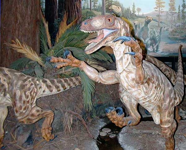 Geoparcul Dinozaurilor Tara Hategului poza