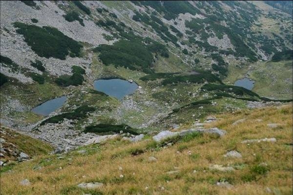 Lacurile Glaciare Buhaescu poza