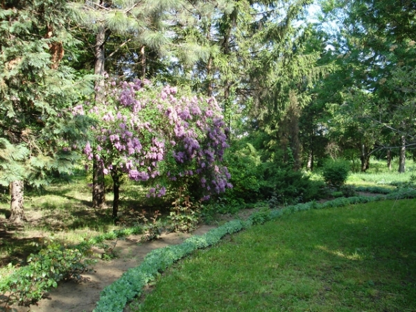 Gradina Botanica Din Prajesti poza