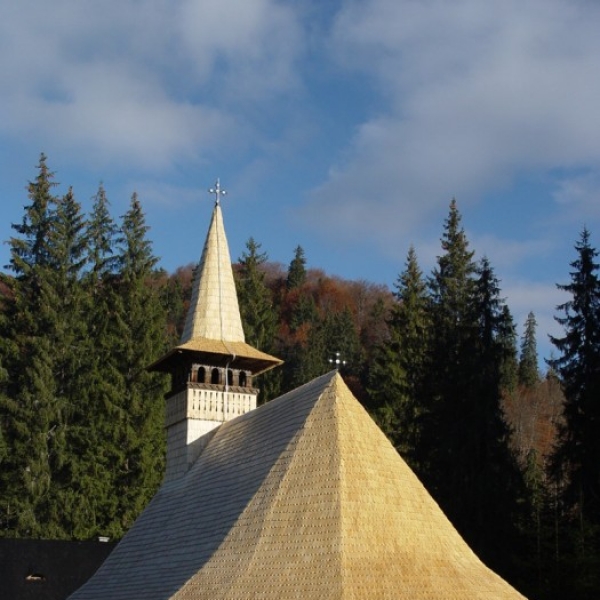 Manastirea Lapusna poza