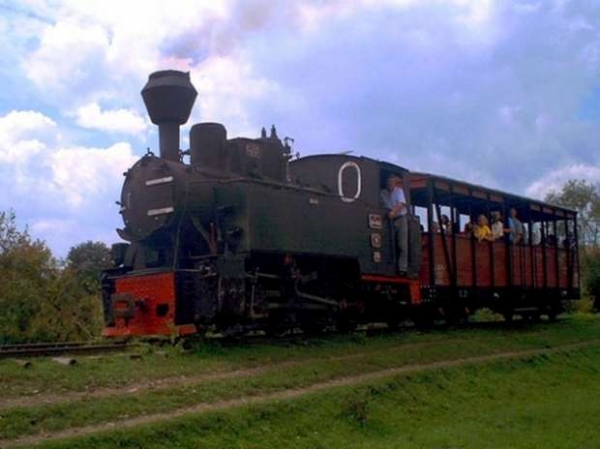 Mocanita poza
