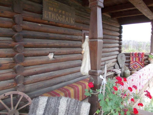 Muzeul Etnografic Paltin poza