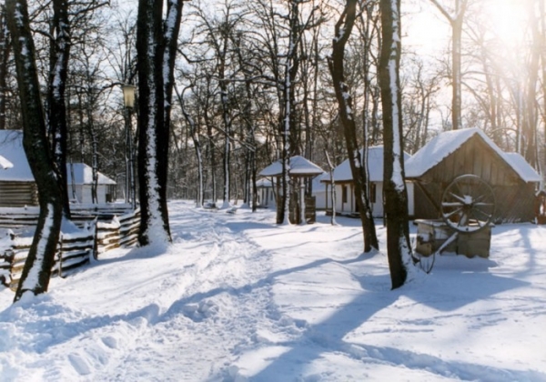 Muzeul Satului Din Petresti poza