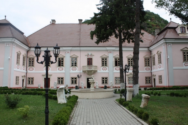 Palatul Magna Curia poza