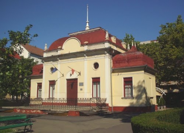 Muzeul Memorial Ady Endre poza