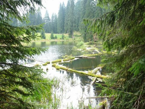Parcul National Calimani poza