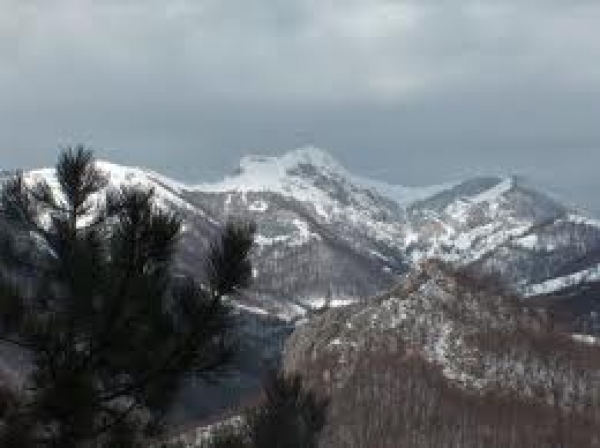 Parcul National Domogled Valea Cernei poza