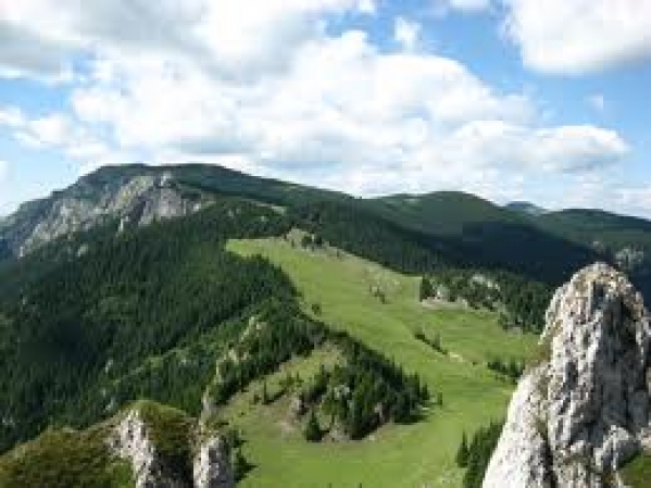Piatra Singuratica poza