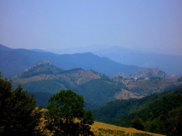 Parcul National Domogled Valea Cernei poza