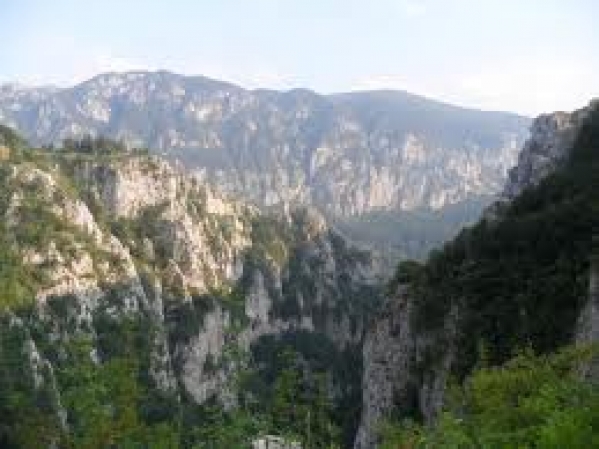 Parcul National Domogled Valea Cernei poza