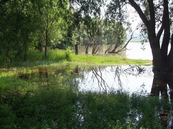 Parcul Natural Lunca Joasa A Prutului Inferior poza
