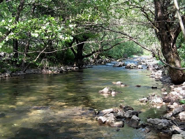 Parcul National Semenic-Cheile Carasului poza