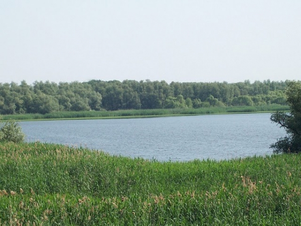 Parcul Natural Lunca Joasa A Prutului Inferior poza