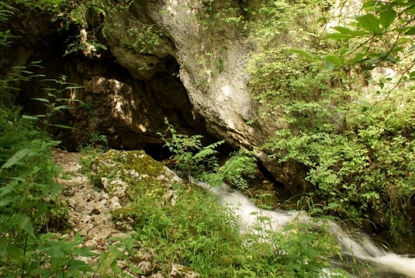 Pestera Izbucul Cotetul Dobrestilor poza