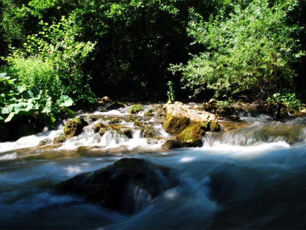 Parcul National Semenic-Cheile Carasului poza