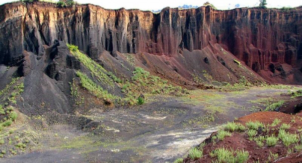 Rezervatia Naturala Coloanele De Bazalt De La Racos poza