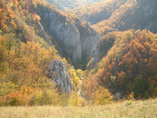Rezervatia Naturala Cheile Varghisului poza