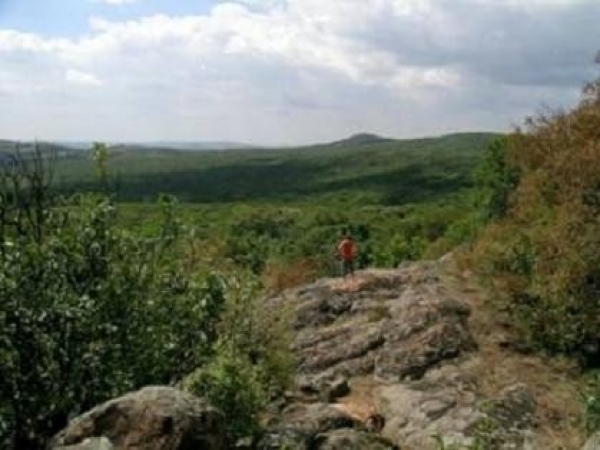 Rezervatia Naturala Carasan Teke poza