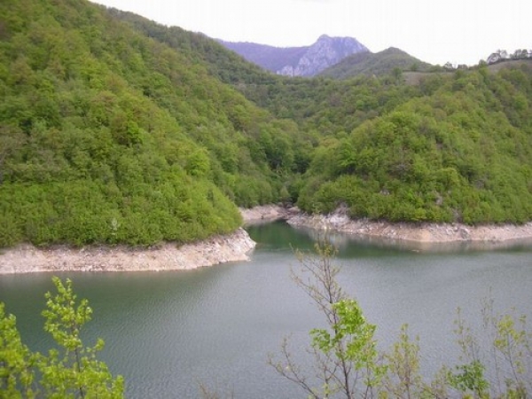 Rezervatia Piatra Bulbuci poza