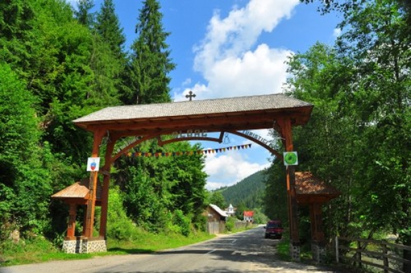 Statiunea Albac poza