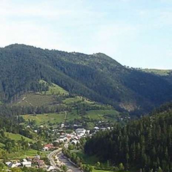 Statiunea Albac poza