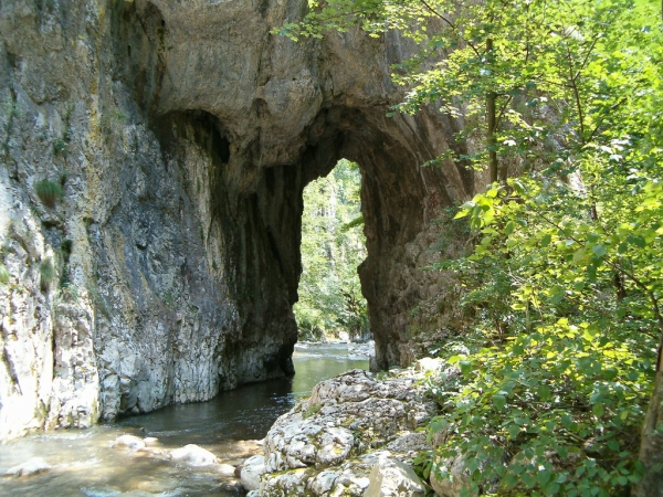 Cheile Rametului poza