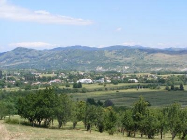 Statiunea Balneoclimaterica Bughea De Sus poza
