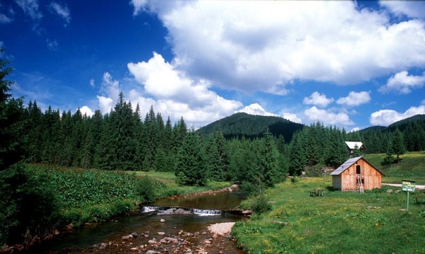 Valea Somesului Rece poza