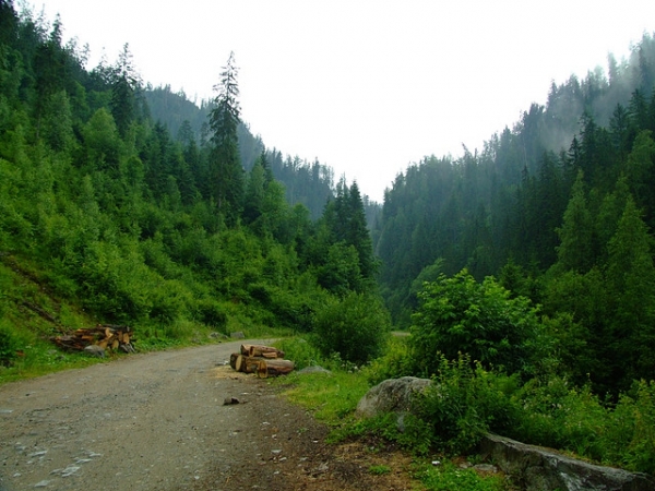 Valea Somesului Rece poza