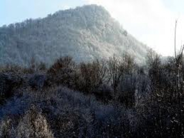 Rezervatia paleontologica si geologica Piatra Pinului si Piatra Soimului poza