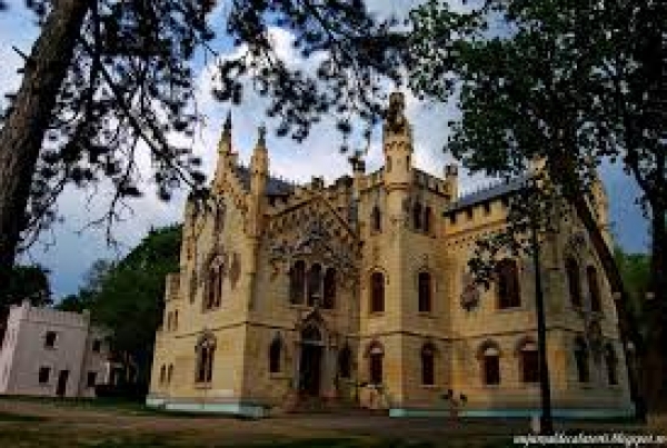 Castelul Sturdza Miclausani poza