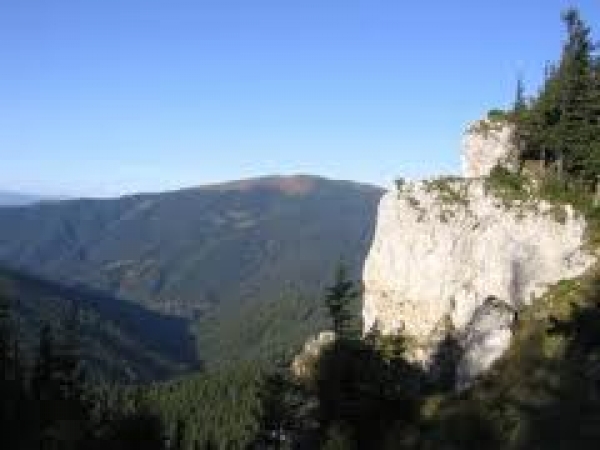Rezervatia paleontologica si geologica Piatra Pinului si Piatra Soimului poza